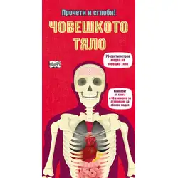 Човешкото тяло - прочети и сглоби!