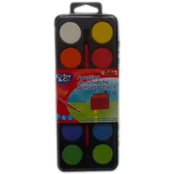 Color and Co Бои 12 цвята