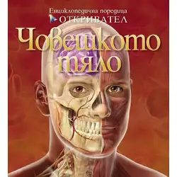 Детска книга Откривател: Човешкото тяло