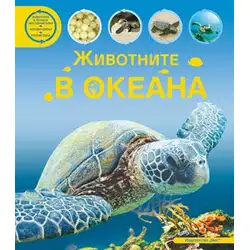 Животните в океана