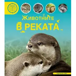 Животните в реката