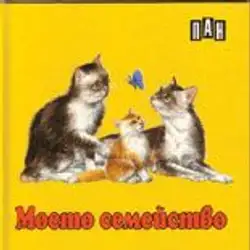 Книжка с твърди корици и страници тип хармоника - Моето семейство