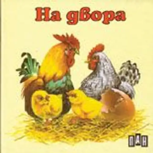 Книжка с твърди корици и страници тип хармоника - На двора