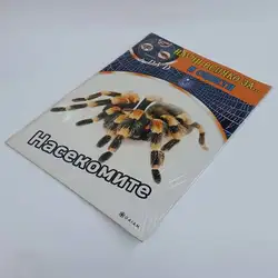 Книжка за оцветяване "Насекомите" + DVD