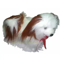 Куче музикално с дълъг косъм