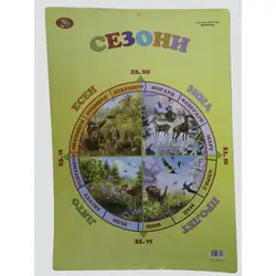Образователно табло - Сезони