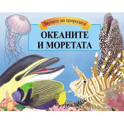 Океаните и моретата