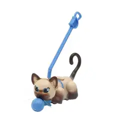 PET PARADE Клубът на домашните любимци - Комплект с 1 коте шарено