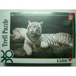 Пъвел 1500ел. Бенгалски тигър Пъвел 1500ел. Бенгалски тигър