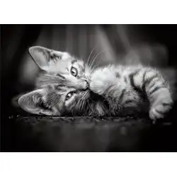 Пъзел 1000 части Котенце Kitty Клементони Clementoni 39422