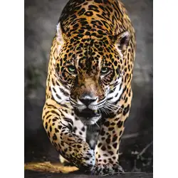 Пъзел 1000 части Ягуар Jaguar Клементони Clementoni 39326