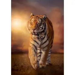 Пъзел 1500 части Тигър Tiger Клементони Clementoni 31806
