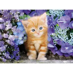 Пъзел 500 части Коте Ginger cat in flowers Клементони Clementoni 30415