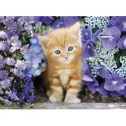 Пъзел Коте с цветя 500 части