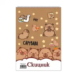 Скицник спирала офсет Хит 24/34 20 л. 170 гр. Данива