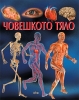 Детска книга за любознателни деца енциклопедия за Човешкото тяло