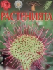 Детска книга за любознателни деца енциклопедия за Растенията